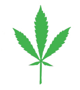 buy cannabis online canada - hybrid