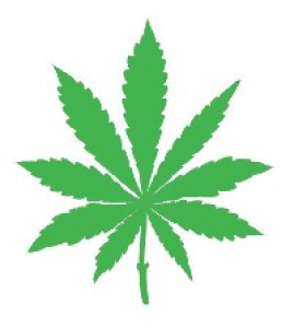 buy cannabis online canada - sativa