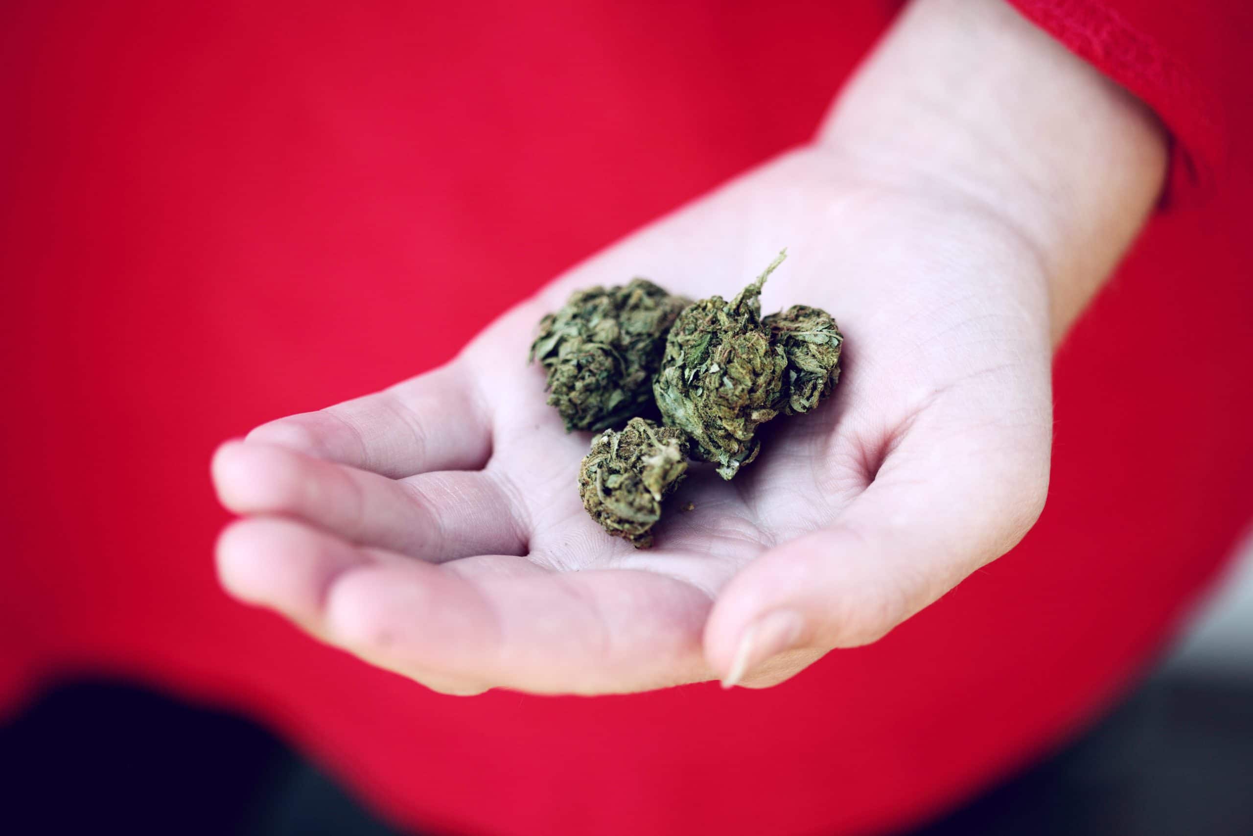 Hybrid weed to buy online on puffland