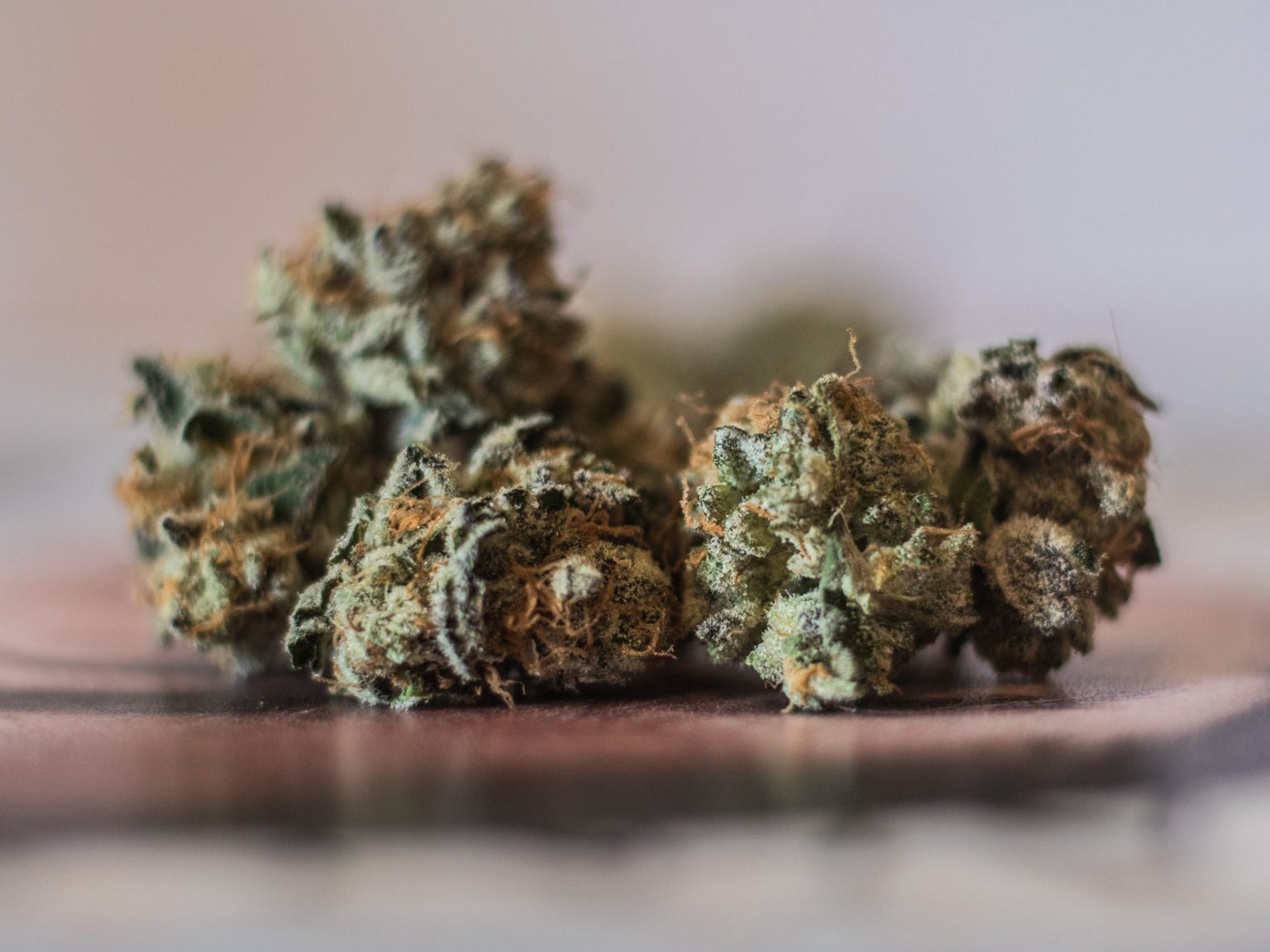 weed strain canada