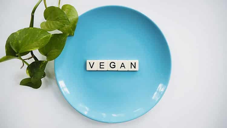 vegan edibles