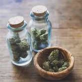 buy weed strains online in canada