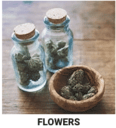 buy weed strains online
