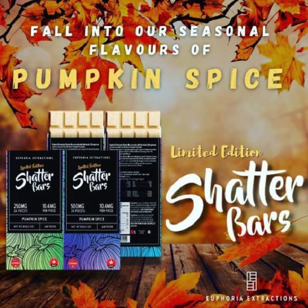 Pumpkin Spice Shatter Bars-2