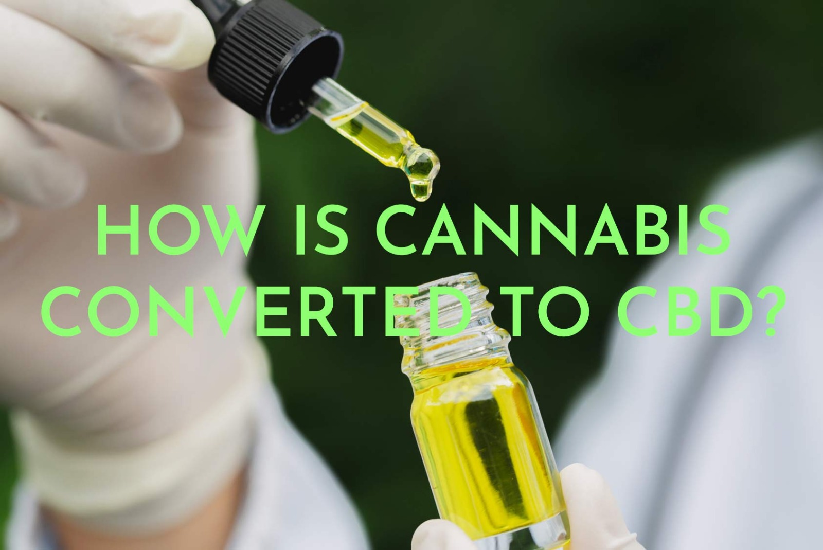 how is cannabis converted to cbd