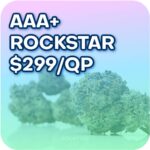 ROCKSTAR SALE