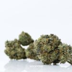 Rockstar Kush for sale – Earthy, skunky blueberry aroma and rich, pungent flavor for ultimate relaxation.