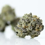 Buy Blow Pop Smalls Online