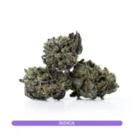 Quad Blow Pop Strain Smalls Deep Purple