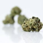 Buy Cheap Weed Online Canada