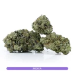 Platinum Kush Living Soil Organics Cannabis by Valley Organic