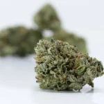 Buy Living Soil Organics Cannabis Online