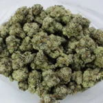 Wholesale Living Soil Cannabis Canada