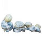 Blue Meanie Mushrooms-3