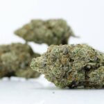 Green Valley MKU | Best Dispensary Vancouver