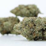 Green Valley MKU | Best Dispensary Vancouver