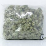 Sour Jamaican Lime - Cheap Ounces Vancouver Hybrid Strain