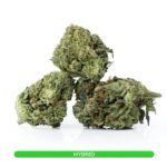 Sour Jamaican Lime - Cheap Ounces Vancouver Hybrid Strain