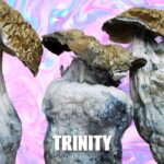 Trinity Magic Mushrooms