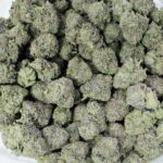 White Truffle Strain Bulk Weed For Sale Canada