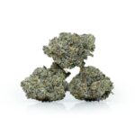 White Truffle Cannabis Strain