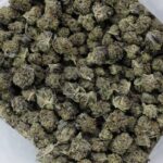 Black Truffle Smalls - Premium Wholesale Indica Strains