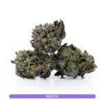 Black Truffle Smalls - Premium Indica Strains