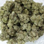 Buy Hybrid Strains Online Canada | Gushers