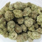 Cheese N Chong