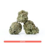 Cheese N Chong
