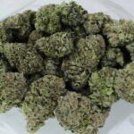 Blue Diesel