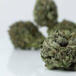 Blue Diesel