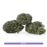 Blue Diesel