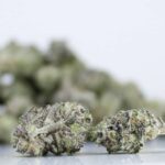 Diesel Berry Smalls