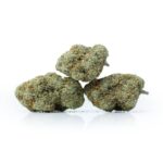 Fanta Sea Cannabis Strain 3 Buds