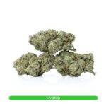 Best Hybrid Strains Canada | Dispensary Canada