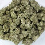 Best Hybrid Strains Canada | Dispensary Canada