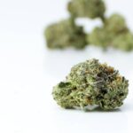 Comatose OG Smalls