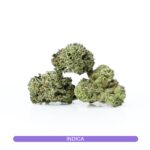 Comatose OG Smalls