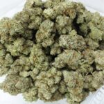 Lemon Cream Gelato - Buy Sativas Vancouver