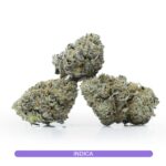 Cinqo Farms AAAA Permanent Marker