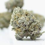 Cinqo Farms AAAA Permanent Marker - Image 2