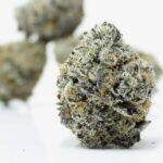 Cinqo Farms AAAA Permanent Marker - Image 3