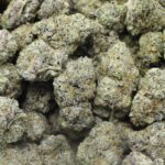 Cinqo Farms AAAA Permanent Marker - Image 4