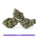 Grape Valley Kush - Premium Weed For Cheap - Best Dispensary Vancouver