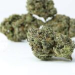 Grape Valley Kush - Premium Weed For Cheap - Best Dispensary Vancouver