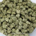 Buy Bulk Biscotti Kush Mints Cannabis