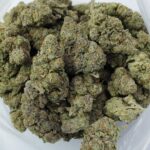 Canna Cabana's AAAA+ Exotic Blue Slushie - Image 4