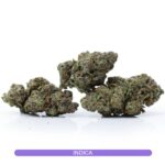 Canna Cabana's AAAA+ Exotic Blue Slushie