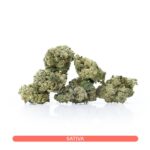 Forbidden Punch cannabis buds with purple undertones and frosty trichomes. Shop relaxing sativa-dominant hybrid strains online